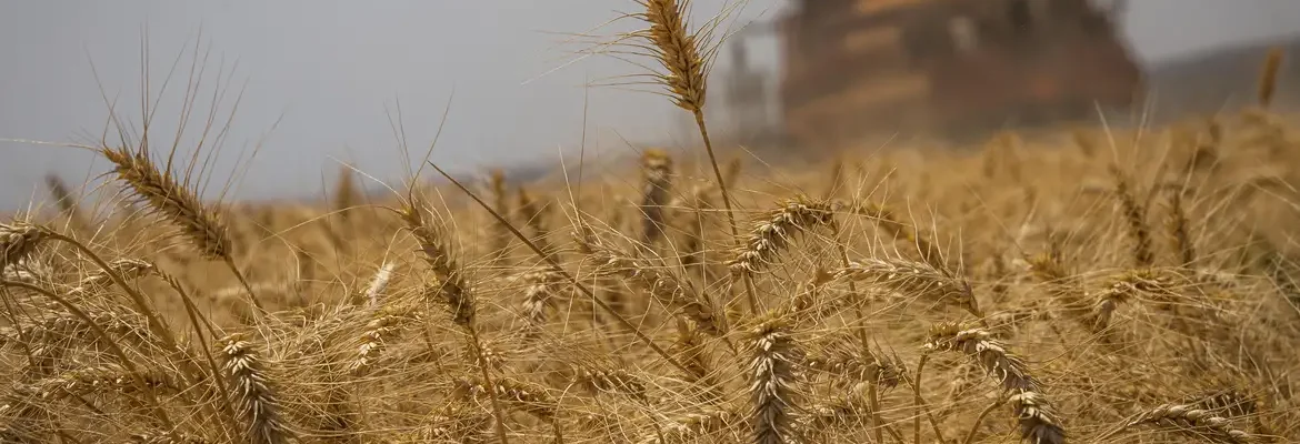 Conab define banca para novo concurso público