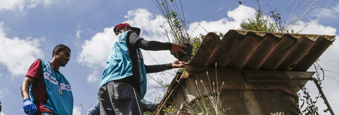 Saúde reforça monitoramento e ações de controle da dengue em 4 estados