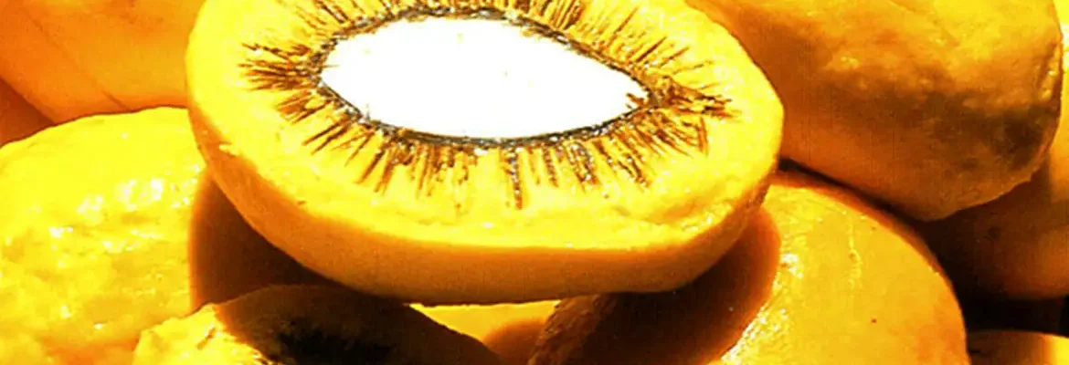 Lula sanciona projeto que estimula produção de frutos do Cerrado