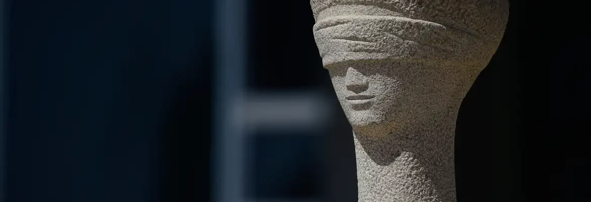 Dino suspende pagamento de emendas a ONGs não transparentes