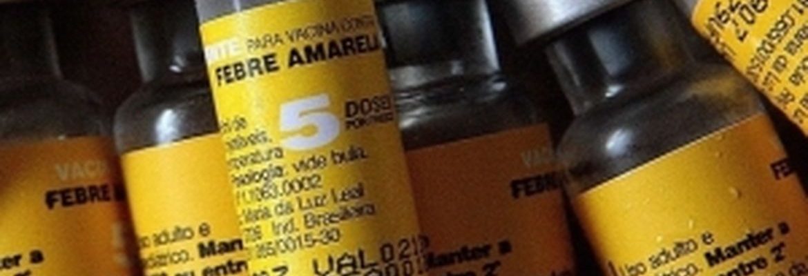 Saúde confirma casos de febre amarela em macacos em município paulista